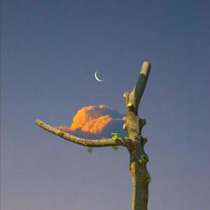 ww我填空题免费高清电视剧
